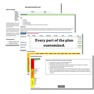 Autism Intervention Wellness Support Plan Autism Intervention Wellness Support Plan